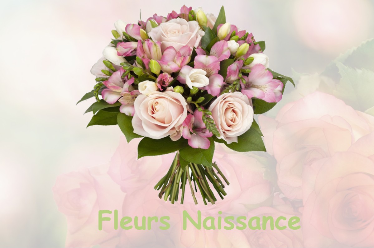 fleurs naissance CHENE-SEC