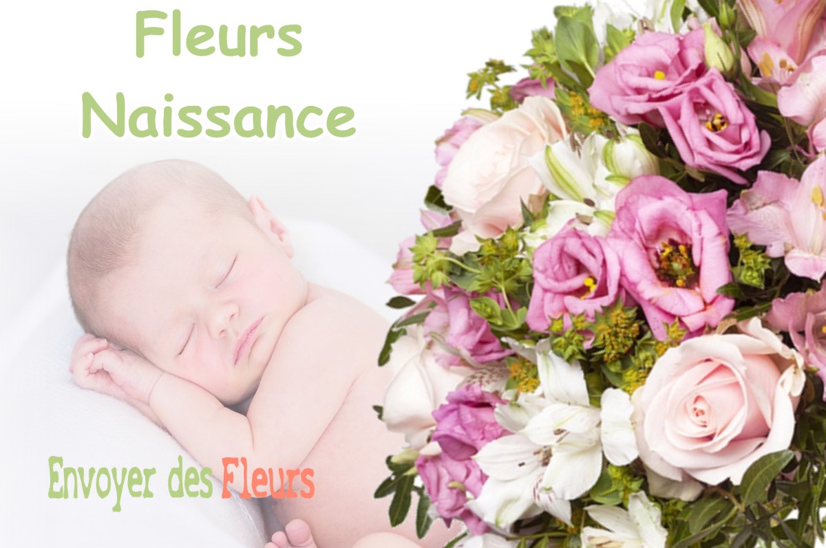 lIVRAISON FLEURS NAISSANCE à CHENE-SEC